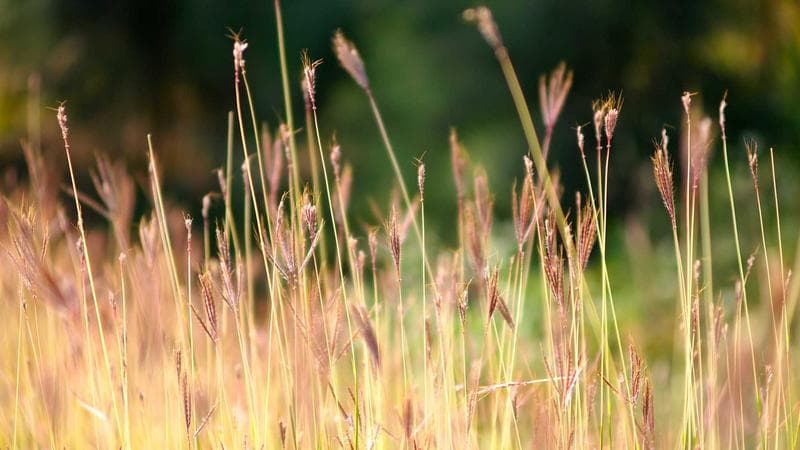 Office partition installation video